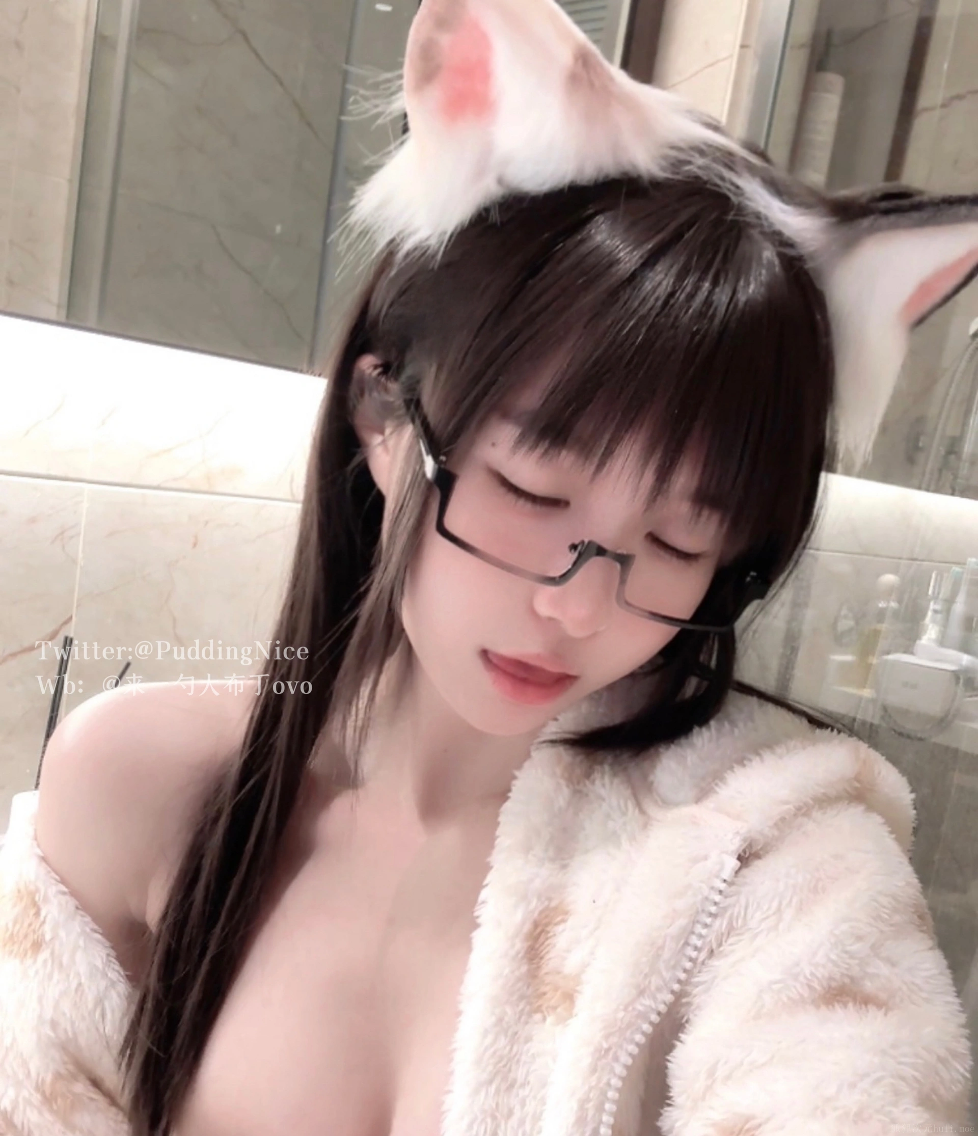 布丁大法 – NO.045 芝士猫 0
